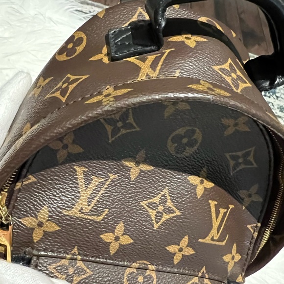 Louis Vuitton Mini Palm Spring - Picture 3 of 16